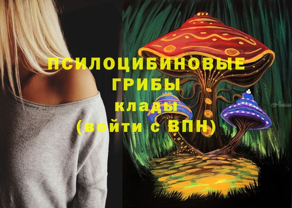 сатива Алексеевка