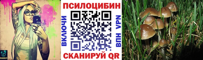Галлюциногенные грибы ЛСД  наркошоп  Салехард 